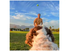 Pet Harness Mount - S - Insta360