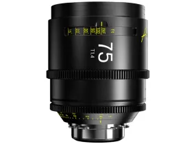 Kit Arles 25,35,50,75,100mm - DZOFilm