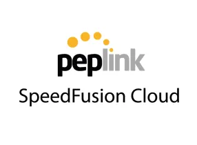 SFC-CLD-D - SpeedFusion Cloud - Plan D - 2.5TB - 200 Mbps - 1 Year