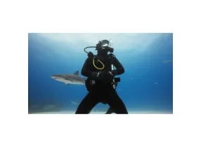 Dive Housing Hero11Mini - GoPro