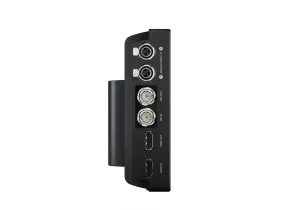 Video Assist 7