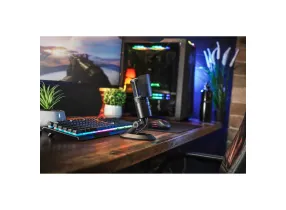 AT2020USB-XP - Audiotechnica