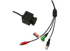 CV504-WP - Marshall