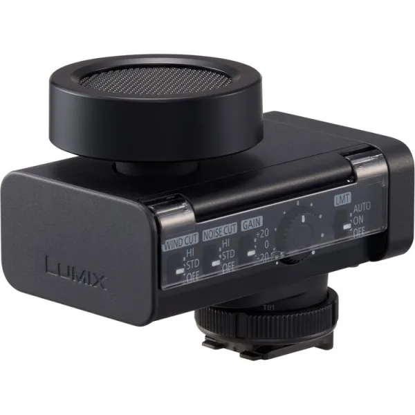 DMW-DMS1 - Panasonic
