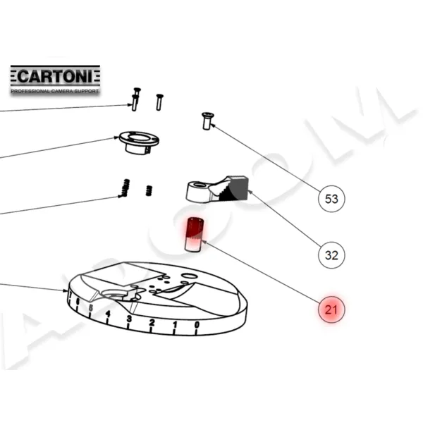 2203939 - Cartoni