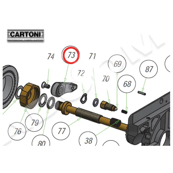 3200030 - Cartoni