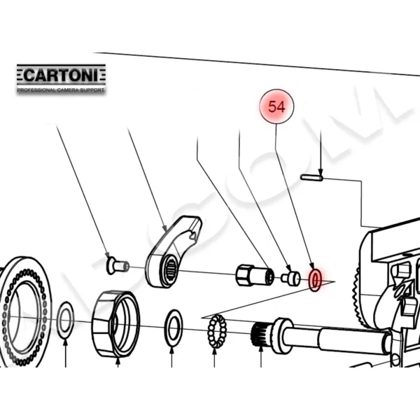 9002949 - Cartoni