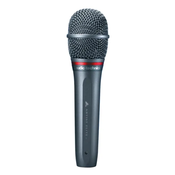 AE6100 - Audiotechnica
