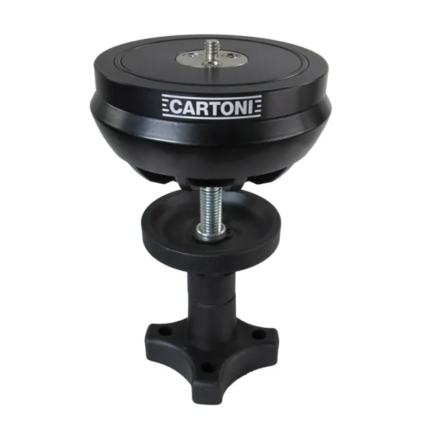 AT923 - Cartoni