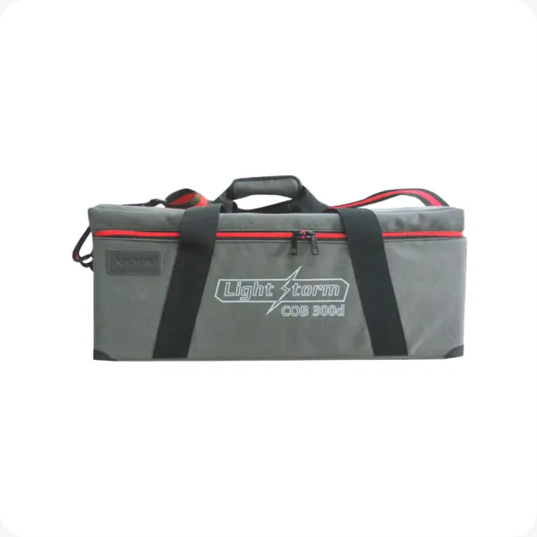 Carrying Case (LS 300 Series) - Aputure