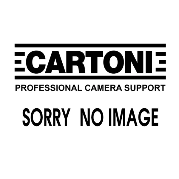 1000979 - Cartoni