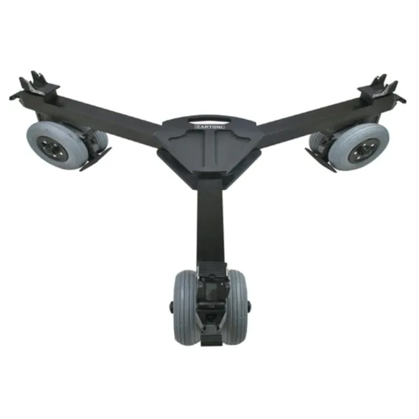 D736/P - Cartoni