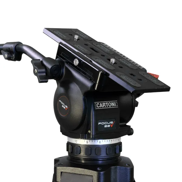 FOCUS 22 Cine - Cartoni