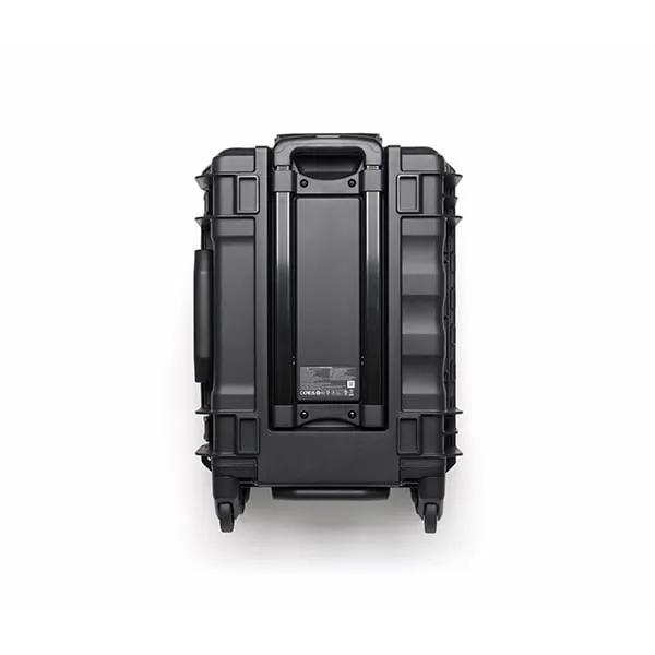 BS100 Intell.Battery Station - Dji
