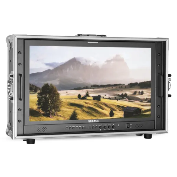 P238-9HSD-CO - Seetec