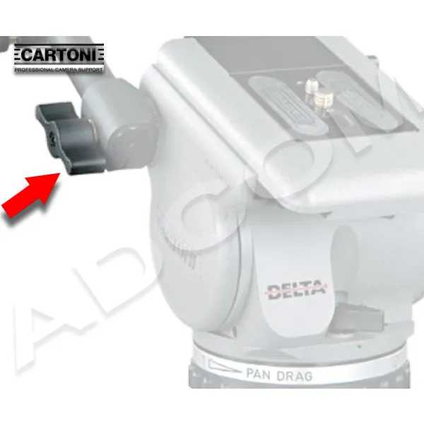 9008189 - Cartoni